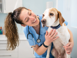 Veterinarians