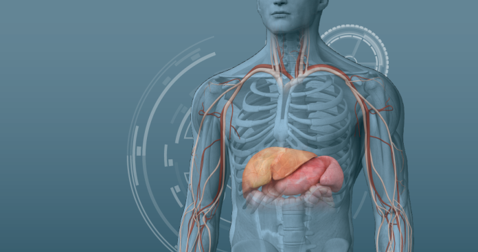 Apex Energetics Adaptocrine Supplements